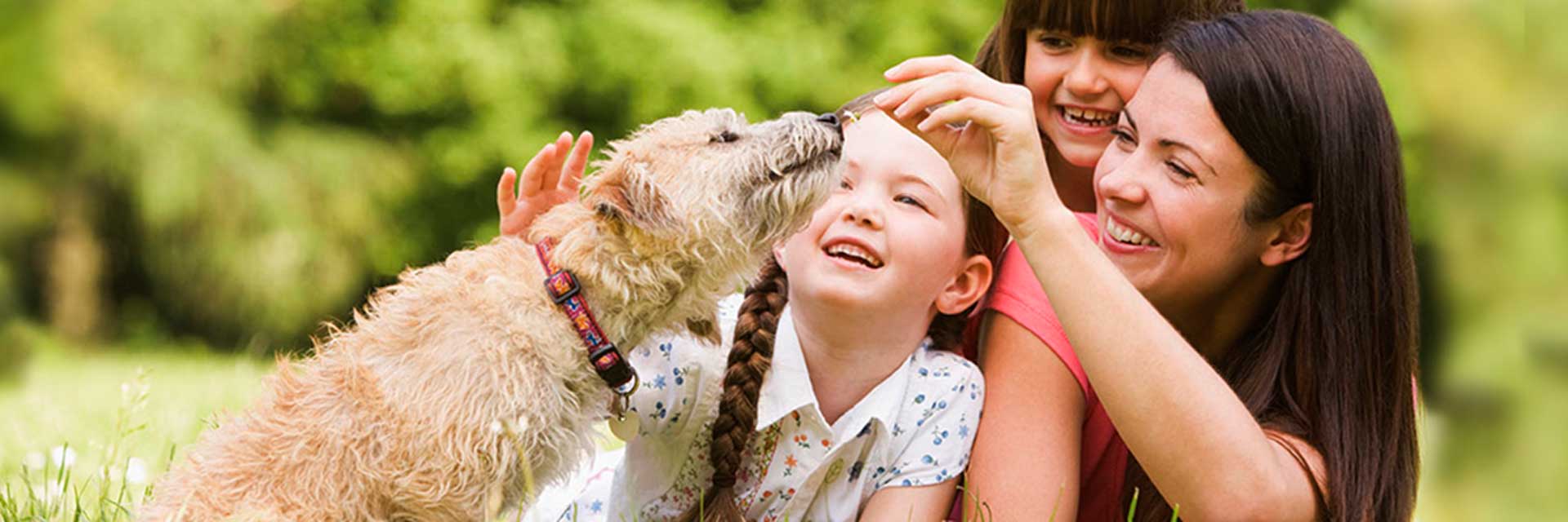 residencial-belbancy